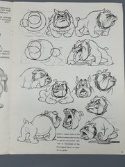 ANIMATION by Preston Blair Art Instruction Book in Walter Foster Series 1950’s