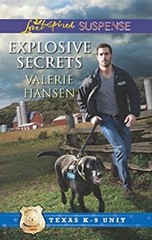 Explosive Secrets Mass Market Paperbound Valerie Hansen