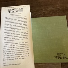Magic in the Mist by Margaret Mary Kimmel Trina Schart Hyman 1984 HC Signed
