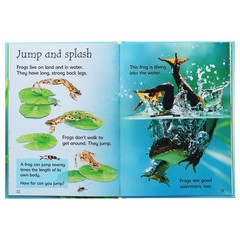 Usborne Beginners Nature 10 Books Box Set Collection – Ages 4-7 – Hardback