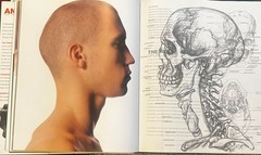 Anatomy for the Artist by Sarah Simblet &John Davis (2001, Hardcover)