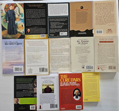 Lot of 14 CATHOLIC BOOKS PB SAINTS Priests MARIAN Mystics DIVINE MERCY Homilies
