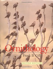 Ornithology : Michelangelo, Florence, and the David 1492-1504 Fra
