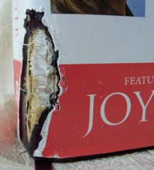 The Everyday Life Bible Power of God’s Word for Everyday Joyce Meyer with defect