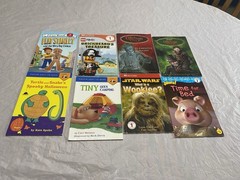Children’s Books Lot Of 20+ Books Mixed Lot (Scholastic And Golden Books)