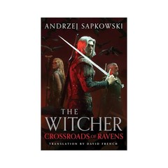 The Witcher 9 Books Collection Set: The Last Wish, Sword of Destiny, Blood
