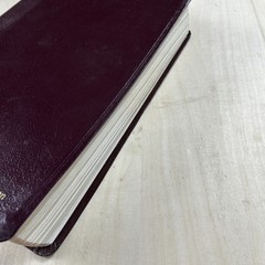 NIV Prophecy Marked Reference Study Bible Bonded Leather 1999 Zondervan