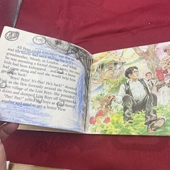 Hook PETER AND THE LOST BOYS (MINI STORYBOOK) By Jim Hart 1991 Paperback