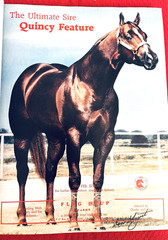 SALE ENDS 6/15! 1986 QUARTER HORSE JOURNAL Book – DYNAMIC DELUXE, ZAN PARR BAR