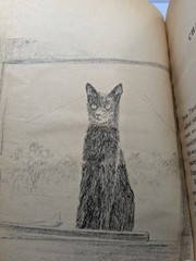 Top Cat by Mary Francis Shura Vintage Paperback Book Children’s Illustrated