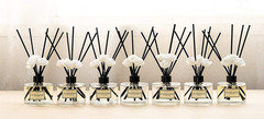 Reed Diffuser Set 6.7Oz (200Ml) Clean Cotton Scented Diffuser with Sticks Home F