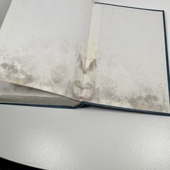 Lutheran Worship 1986 Concordia Publishing House *Back 3-4 Pages Water Damage