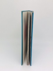The Cat in the Hat by Dr. Seuss Beginner Vintage Children Book-9.3 In …55