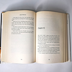 Step On A Crack Book, James Patterson 2007 Mystery Thriller Hardcover 383 Pages