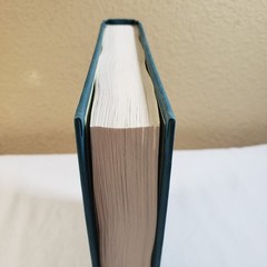 The Lightning Thief Percy Jackson Hardcover OOP Rick Riordan Unclipped Jacket