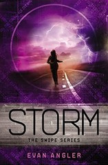 Swipe Series All 4 Books in Paperback
