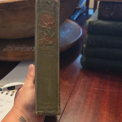 Jean Webster Daddy-Long-Legs Hardcover Fiction Novel 1912 The Century Co.