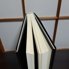 History of History Hiroshi Sugimoto 2008 Art Photography Book 11.8×9.3in