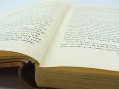 Peony Vintage 1st Edition 1948 Hardcover Book Pearl S. Buck 312 Pages