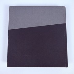 Homeward: Selections from the Wieland Collection (2016) Out of Print, VG++