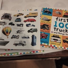 First 100 PB Box Set (5 Books) : First 100 Words; First 100 Animals; First…