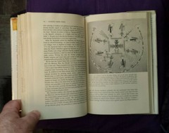 Man’s Rise to Civilization as shown by the Indians of North America – Peter Farb