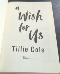 2025 A Wish for Us by Tillie Cole Paperback