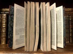 OLD BOOK IN ENGLISH FROM 1800s – Rare Historical Collectible from 19th Century