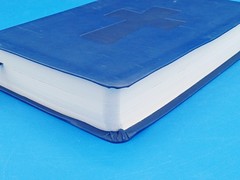 The New Testament CATHOLIC EDITION ~ Revised Standard Version ~ Leathersoft…