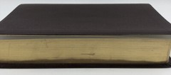 Sonrise Daily Devotional Bible~Thomas Nelson 2004 Bonded Leather ~ Burgundy