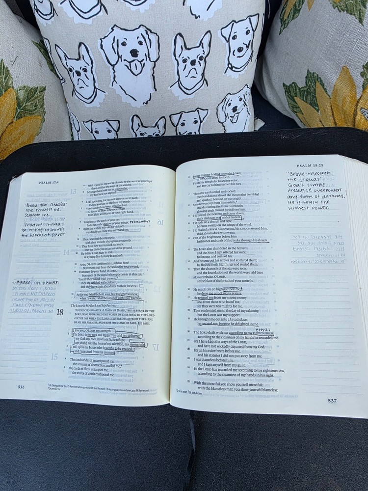 Crossway Single Column Journaling Bible Black Used with Handwritten Study Notes