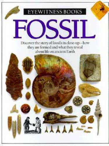 Fossil (Eyewitness Books) – Hardcover By Paul D. Taylor – GOOD