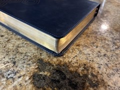 One Step Closer Bible NLT Navy Blue Candace Cameron Bure – Red Letter