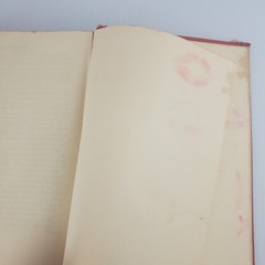 The Mortal Storm By Phyllis Bottome 1938 / 1940 1st Ed HC Ex-library READ!