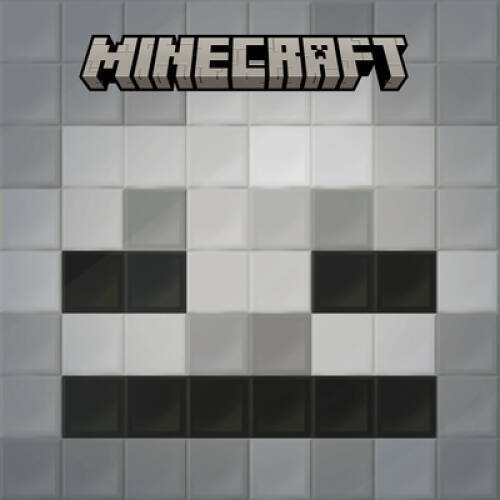 I Survived a Skeleton (Mobs of Minecraft 2) (Pictureback(R)) – GOOD