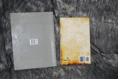 Lot of 2 Clarence Larkin The Spirit World (Paperback) Books Illustrated