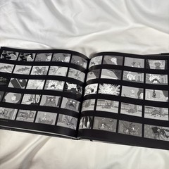Frankenweenie The Visual Companion Tim Burton Disney Editions Hardcover Artbook