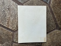 Harry N. Abrams Lehmbruck Reinhold Heller PB 1977 Art Sculpture Illus ExLib