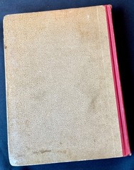 The Little Lame Prince McLoughlin Bros Antique Illustrated Victorian HC Brownie