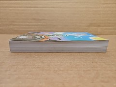 Behold a Pale Horse William Cooper 1991 500 Unrevised Protocols of Z CFR Foldout