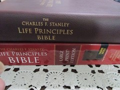 NASB Charles Stanley Life Principles Bible- Large Print INDEXED Burgundy LS-RARE