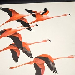 THE WORLD OF BIRDS By Roger Tory Peterson & James Fisher – Hardcover *Excellent*