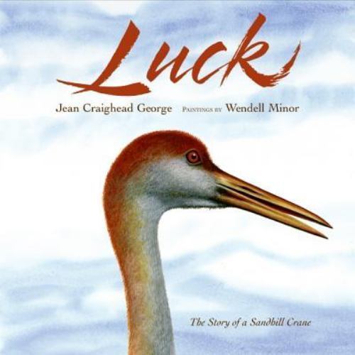Luck (Outdoor Adventures) by Jean Craighead George