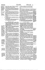 1560 &1599 Geneva Bible-Reformation Scripture CommentaryJohn Calvin & Beza-on CD