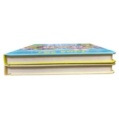 Bluey Board Book Set x 2 The Pool The Beach Hardcover Kids TV Series Picture Lot