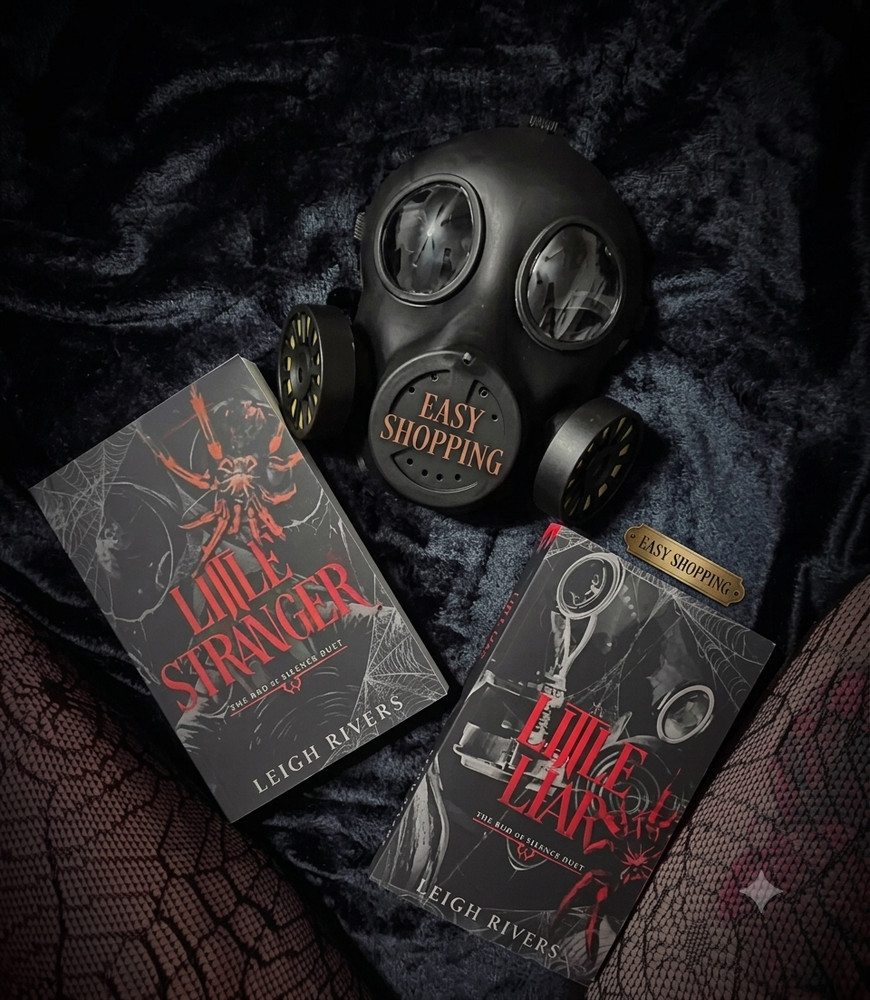2 Books set Little Stranger and Little Liar by Leigh paperback FREE SHIPP