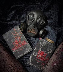 2 Books set Little Stranger and Little Liar by Leigh paperback FREE SHIPP