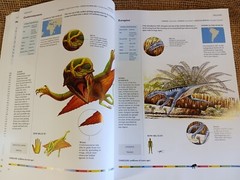 dinosaurs and other prehistoric animals by amber