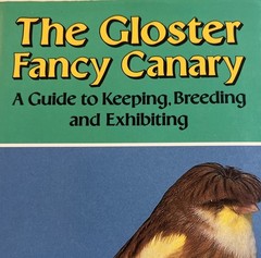 The Gloster Fancy Canary – Guide To Keeping, Breeding N.J. Barrett + C.Blackwell