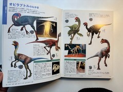 Japanese Childrens Dinasars book Shogakukan Encyclopedia NEO 180 pages